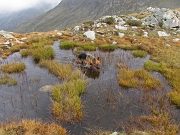 CIMA CADELLE (2483 m.) il 27 settembre 2009 - FOTOGALLERY